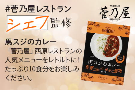 馬スジのカレー 10食 セット 合計2.1kg 【カレー レトルト レトルトカレー 馬すじ 馬スジ 馬 すじ スジ 時短 人気 熊本県 多良木町】 031-0423