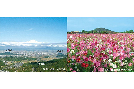 (返礼品なし)誇れる郷土・かしはら応援寄附金(1,000円単位でご寄附いただけます)