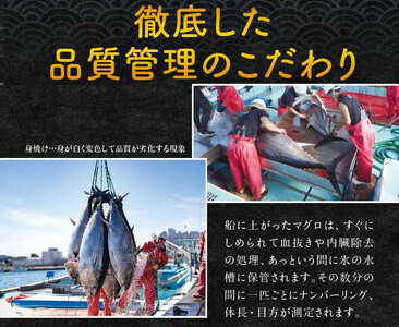 本マグロ（養殖）トロ＆赤身セット　500g［KS12］【nks110D】