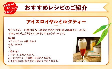 希釈紅茶飲料 GSブラックティー 加糖 500ml×12本《90日以内に出荷予定(土日祝除く)》和歌山県 紀の川市 飲料 紅茶 5倍希釈 株式会社ジーエスフード ミルクティー アイスティー