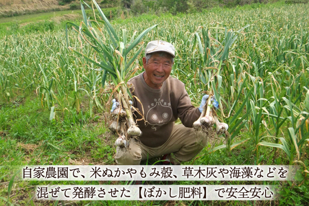 【期間限定発送】 にんにく 国産 1kg [甲斐自然派農園 宮崎県 日向市 452060131]