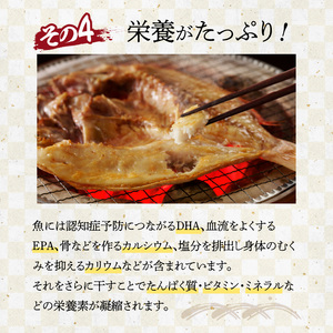 連子鯛の干物 2枚｜ タイ 干物【A019】