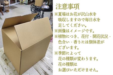 「全6回定期便」季節のアレンジメントフラワーをご寄付の翌月から6回お届け 贈り物やご自宅に 生花 誕生日 プレゼント ギフト おまかせ