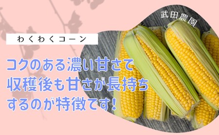 2026年夏発送 ［武田農園とれたて直送］スイートコーン わくわくコーン 2L 10本 みずみずしく抜群にあまい！北海道 富良野産 (とうもろこし 野菜 新鮮 とうきび 甘い 産地直送 先行予約 限定)