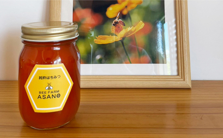 純粋ハチミツ 野山の花 500g×1 瑞浪市 / honey shop Bee farm asano 蜂蜜 はちみつ [AZBT005]