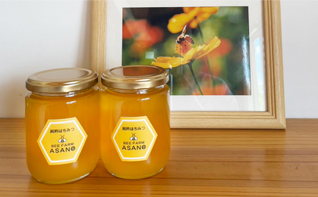 純粋ハチミツ 山桜 300g×2 瑞浪市 / honey shop Bee farm asano 蜂蜜 はちみつ [AZBT007]