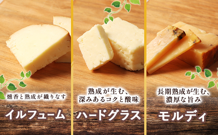 北海道雄武町産　チーズセット(スモークストリング70g　ミルクストリング70g×2　モッツァレラ90g　ハードグラス25g　イルフューム25g　モルディ25g)【0910101】