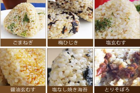 ［2回定期便］かんこめの玄米おむすび20個×2回｜ おにぎり 冷凍 個包装