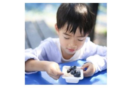 【先行予約】冷凍ブルーベリー 1㎏ | フルーツ 果物 ベリー