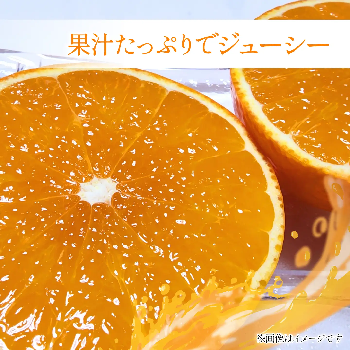 紅まどんな（秀品3kg 化粧箱）【11月下旬～12月発送】柑橘 愛媛 ま