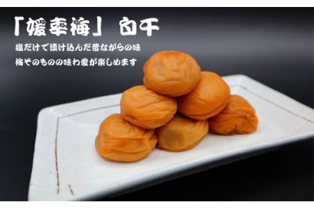 「媛幸梅」梅干2種セット（260g×2個）｜伊予南高梅