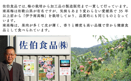 「媛幸梅」種なし干梅（はちみつ）セット｜ おやつ 塩分補給 ほしうめ