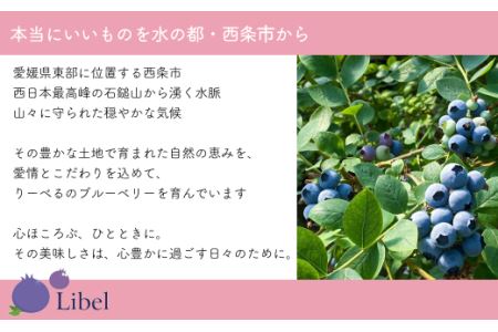 ブルーベリージャム2個セット