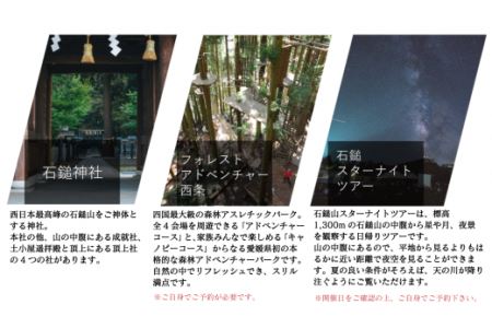 ～ISHIZUCHI JOURNEY～西条市内宿泊クーポン（6,000円分）｜ 宿泊券 選べるホテル
