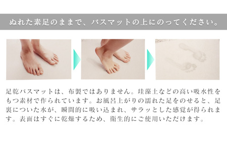 NEW 足乾（そっかん）バスマット_ミニサイズ｜ 珪藻土 マット