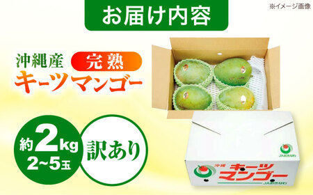 【先行予約 数量限定】 訳あり キーツマンゴー 約2kg (2〜5玉) マンゴー 沖縄 BCAA005