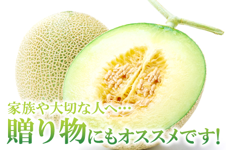 B-160 益田産アールスメロン8kg（5～6玉入り）【秋作】