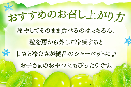A-768 皮ごと食べられる種なしぶどうシャインマスカット 1kg
