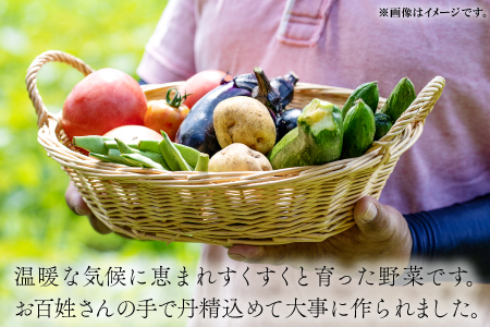 A-198 朝採れ地元  野菜おまかせセット