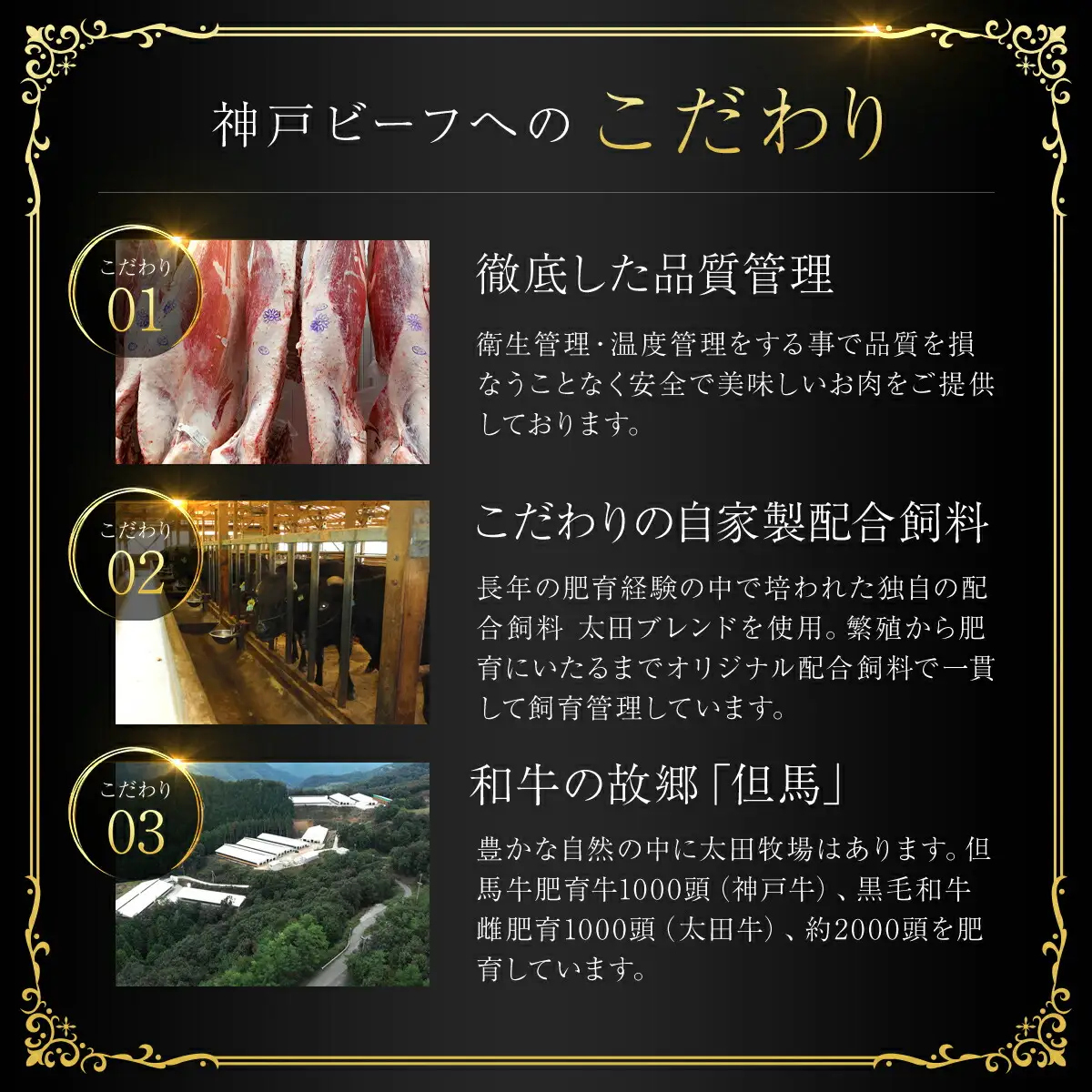神戸牛お肉三昧セット計1.5kg(ステーキ・すき焼き・しゃぶしゃぶ)牛肉 黒毛和牛