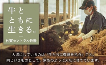 佐賀牛 焼肉用 食べ比べセット（希少部位2種）300g / 牛肉 [IAH064]