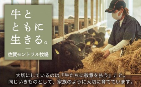 A4A5等級 佐賀牛 赤身ステーキ 300g/ ステーキ [IAH076]