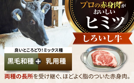 【12回定期便】 万能切落し 1000g / 牛肉切り落とし [IAH135]
