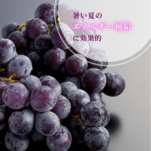 【令和8年産 先行予約】 巨峰 約3kg (5~9房) | ぶどう 新潟県 弥彦村