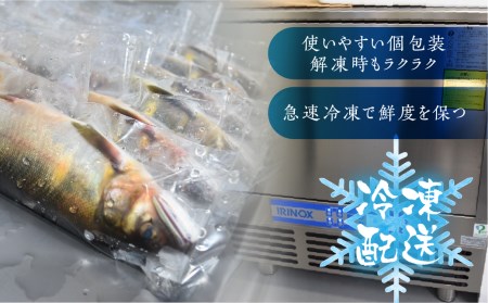 冷凍鮎 9匹 / 天然鮎 鮎