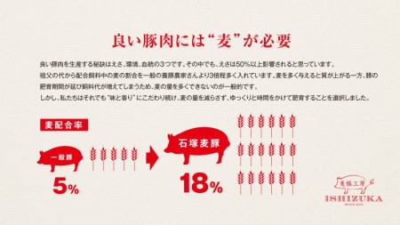 ぶた バラエティセット 全9種 ぶた