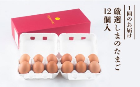 【 卵　定期便6回 】極上恋たまご 卵12個 [JAA005]