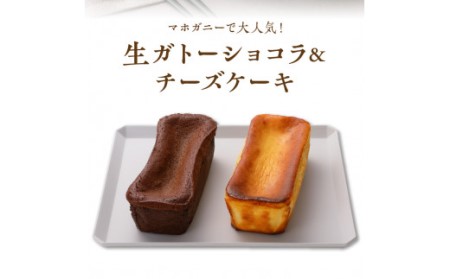 生ガトーショコラ＆チーズケーキセット N0153-YZB225