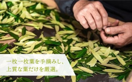 【全6回定期便】オリーブリーフパウダー [JDU010] 定期便 オリーブリーフ オリーブ 健康 ポリフェノール 72000 72000円