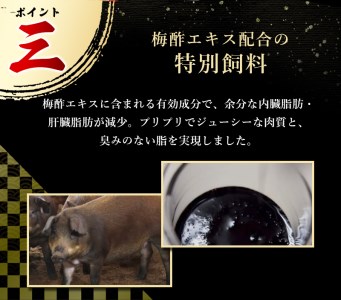 【希少すさみブランド豚】すさみ豚 切り落とし 2.5㎏ (ウデ・モモ切り落とし500g×5パック)/貴重 ブランド豚 小分け スライス お得 大容量 万能 炒め物 焼肉 しゃぶしゃぶ 生姜焼き 冷しゃぶ 冷凍 すさみ町 【ibu116】