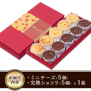 濃厚ショコラ・チーズケーキ (合計10個・2種×5個) チーズケーキ チーズ スイーツ 冷凍 お菓子 おやつ 焼き菓子 お取り寄せ 大分県 佐伯市【AJ75】【(有)ケーキ大使館クアンカ・ド－ネ】