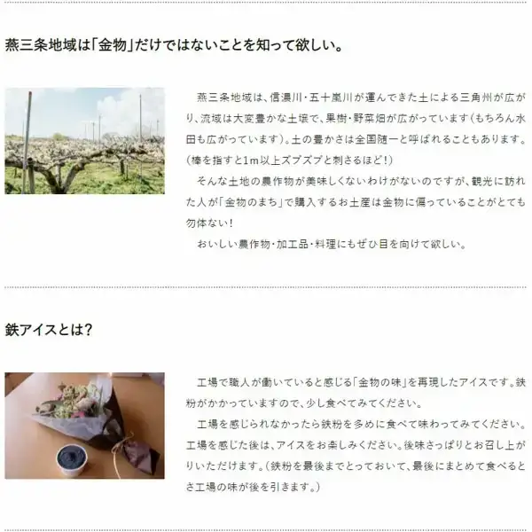 「食べる工場見学」 燕三条鉄アイス（ミルクベースのアイス） 【010P092】