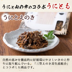 ＜鹿児島県産うに使用＞ご飯のお供「うにとも」うにとえのき(50g×4袋)国産 ウニ 雲丹 えのき きのこ キノコ おかず 惣菜 常温【尾塚水産】akn004-06