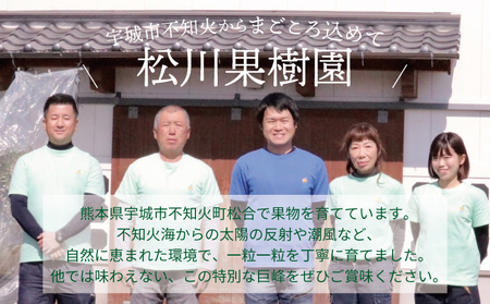 【先行予約】 巨峰 7月のぶどう屋さん 種なし巨峰 2kg 5～6房入 松川果樹園 【2026年7月上旬～8月上旬頃順次発送予定】