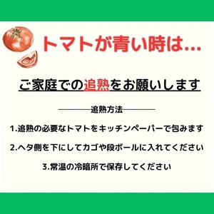 【旬な時期にお届け♪7月下旬より随時配送】内藤おじちゃんが育てる採れたて新鮮な童仙房高原トマト2kgセット◎エコファーマー認定者◎京都府南山城村産 野菜 夏野菜 リコピン サラダ 緑黄色野菜 