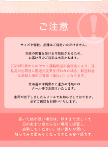 桃 和歌山の桃(5～8玉入り)【2026年6月中旬頃から8月上旬頃発送予定】【mat101D】