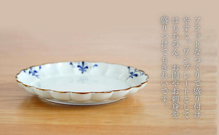 皓洋窯 有田焼 菊割皿 Lサイズ 1枚 A17-6