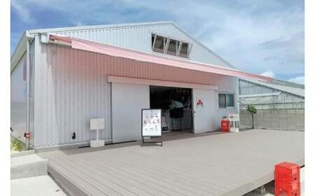 ごろっとイチゴとレアチーズ (AX001)