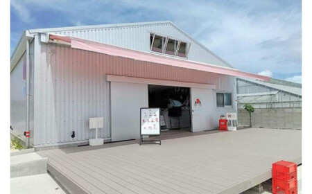 ごろっとイチゴとなめらかプリン&ごろっとイチゴとレアチーズセット (AX002-1)