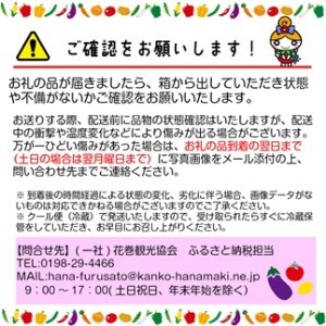  【定期便３ヶ月】イーハトーヴ野菜C もりもりセット 11品～ 詰め合わせ【1208】