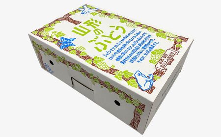 山形市産 シャインマスカット 秀1.5kg以上(2~3房)【前半】 FZ22-331