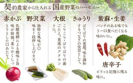 めしどろぼ漬け6袋セット 漬物 漬け物 香の物 副菜 郷土料理 お漬物 ご飯のおとも うら田 KF001