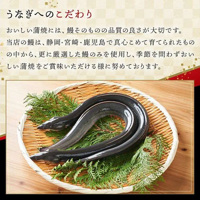 お食事券 博多名代 吉塚うなぎ屋 9,000円分 食事券 チケット うなぎ 国産 鰻 ウナギ 蒲焼き ランチ ディナー 店内飲食 テイクアウト グルメ券 グルメチケット クーポン 九州 旅行 観光 博多 福岡 福岡市