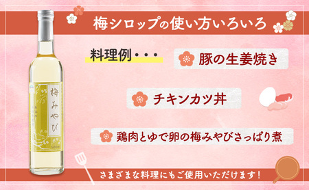 梅みやび（梅シロップ）500ml×2本セット 