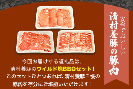 ワイルド塊BBQセット 計1450g 清村養豚 