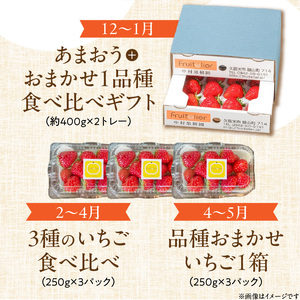 【年間7回配達】【フルトリエ】100年続くフルーツ農家の定期便_定期便 7回 贈答用 フルーツ セット 詰め合せ 幸水梨 ピオーネ シャインマスカット フルーツビネガー いちごジャム 梨のコンポート あまおう いちご 食べ比べ ギフト 果物 朝採れ 冷蔵 送料無料 100年続くフルーツ農家 フルトリエ 中村果樹園 〔Fx012〕